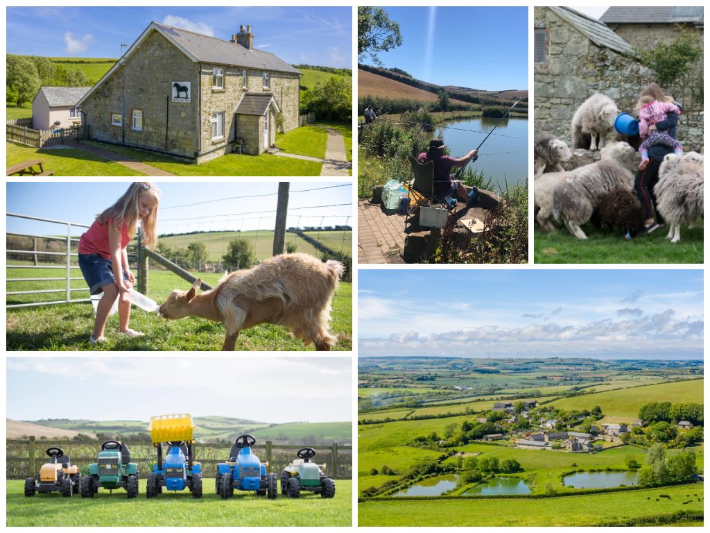 Nettlecombe Farm - child friendly Isle of Wight farm stay cottages ...