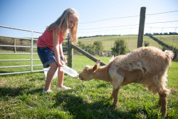 child and family friendly farm stays