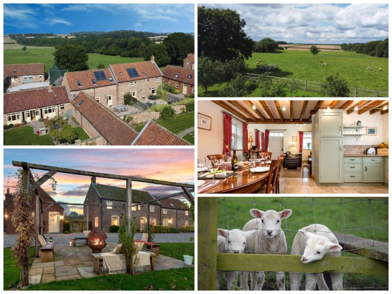 Broadgate Farm Cottages - child and family friendly Yorkshire holidays ...