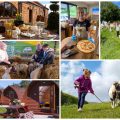 collage of images showing child and family friendly holidays at humble bee farm