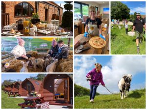 collage of images showing child and family friendly holidays at humble bee farm